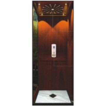 250kg-400kg Hotel Passenger Elevator